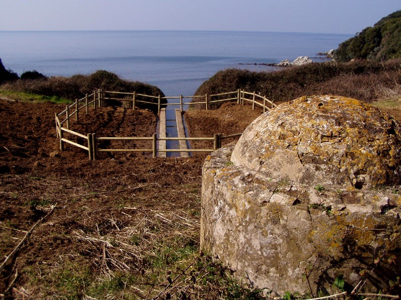 Fontanili del Lazio